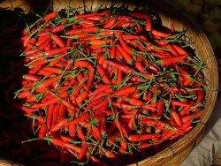 Jak využít chilli papriček pro zdraví a hubnutí